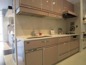 タカラ　レミュー